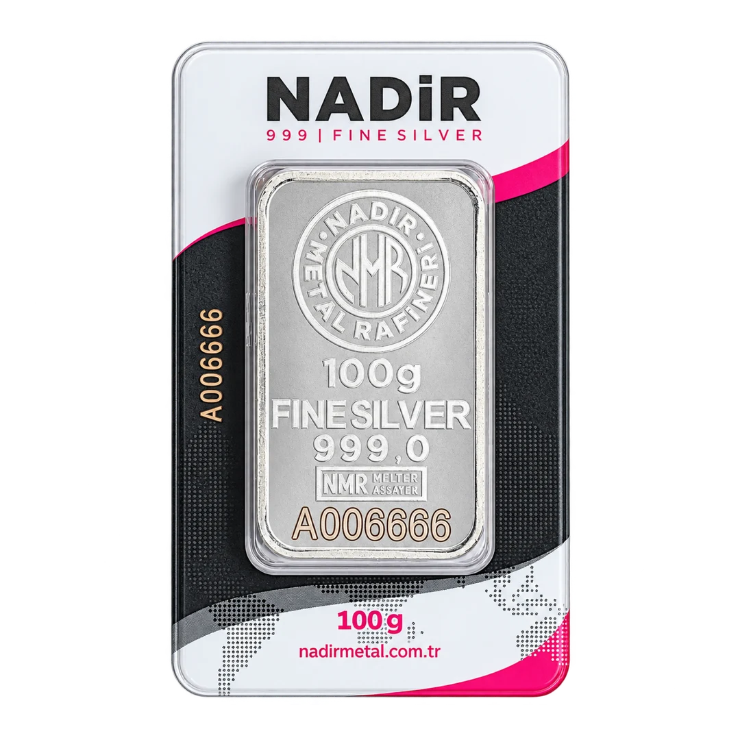 SILVER BAR (100g)